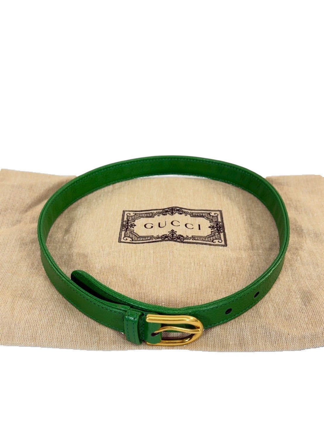 GUCCI グッチ フロディーテ スモール レザー 2WAY　ショルダーバッグ グリーン 731817